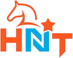 Logo ontwerp Hippisch Netwerk Team